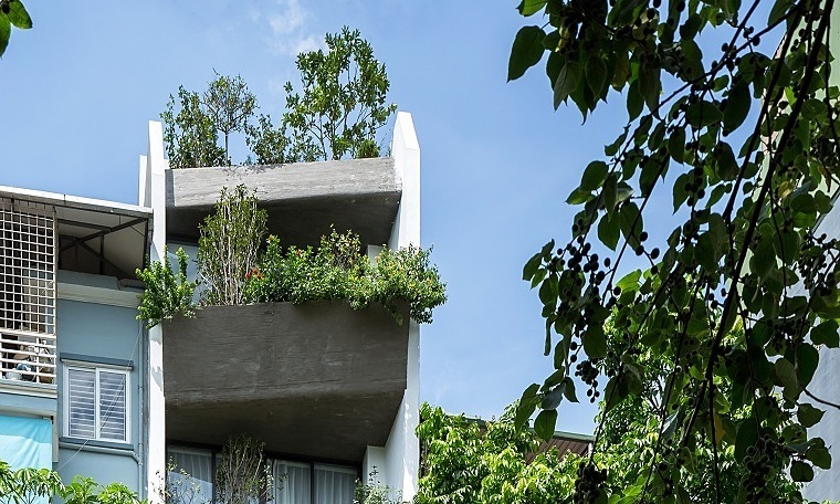 Nhà mặt phố lột xác hoàn toàn sau khi cải tạo với vườn treo