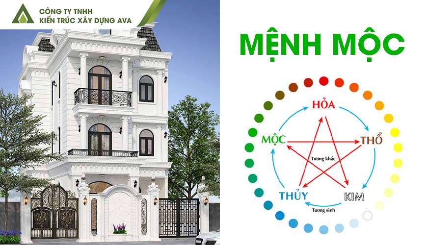 Phong Thủy Nhà Ở Cho Người Mệnh Mộc: Hướng, Màu & Vật Liệu Hợp Mệnh
