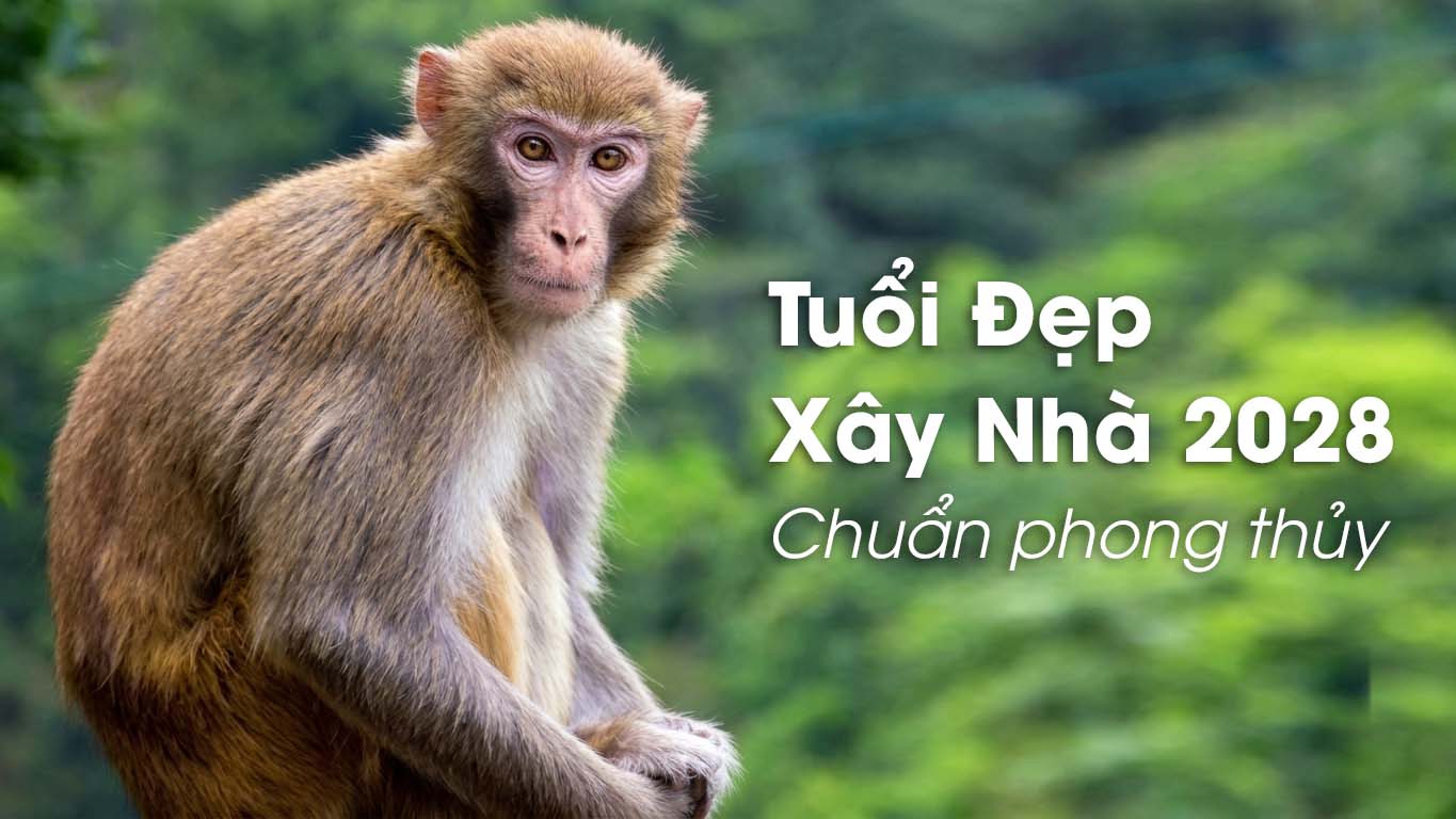 Tuổi Xây Nhà 2028 Mậu Thân: Tra Cứu Tuổi Đẹp & 4 Đại Hạn