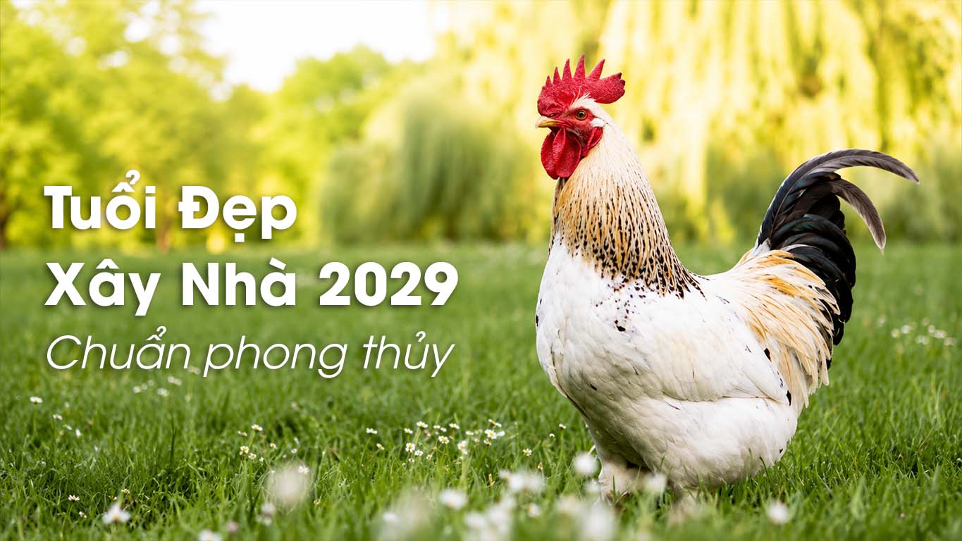 Tuổi Xây Nhà 2029 Kỷ Dậu: Tra Cứu Tuổi Đẹp & 4 Đại Hạn