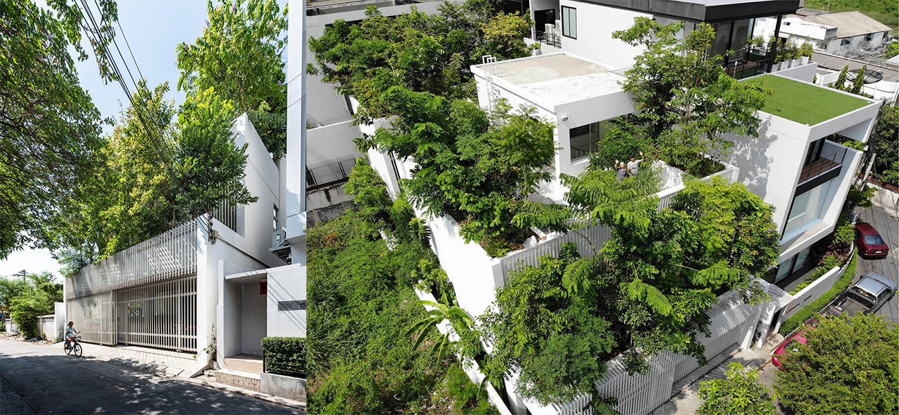 Biệt thự nhà vườn trồng hơn 100 loại cây xanh, vào bên trong như rừng nhiệt đới