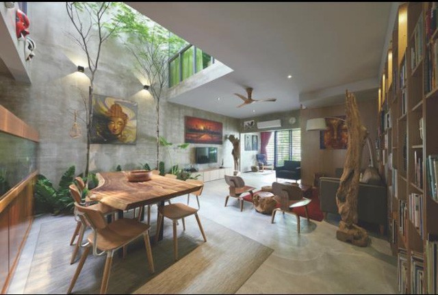 Học cách thiết kế giếng trời đẹp mê ly cho nhà phố