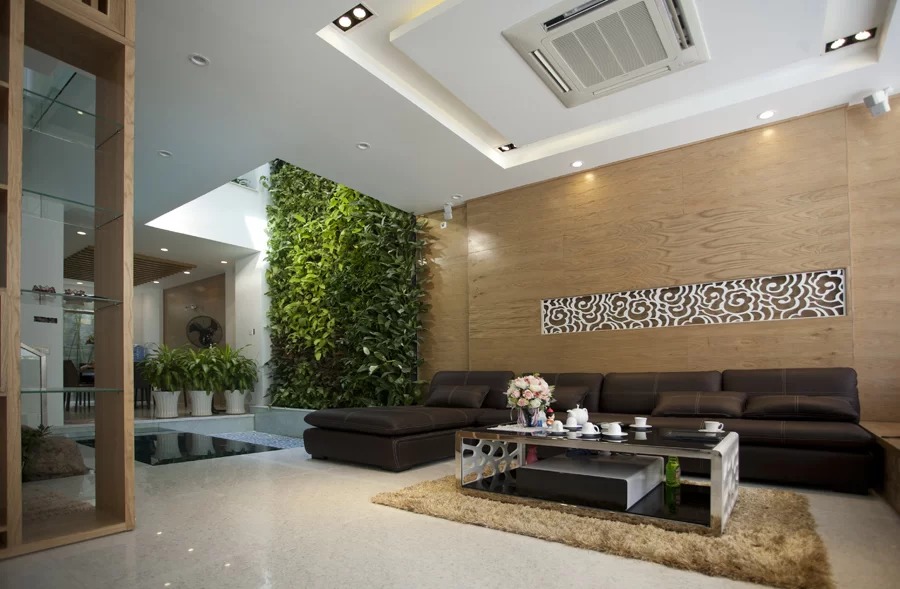 Mang màu xanh của thiên nhiên vào nhà ống