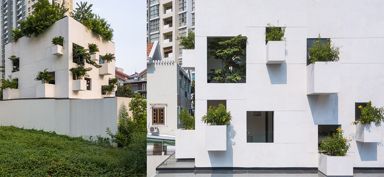 Ngôi nhà 3 tầng có vài chục ô cửa sổ mọc cây ở TP. Hồ Chí Minh và báo giá xây nhà