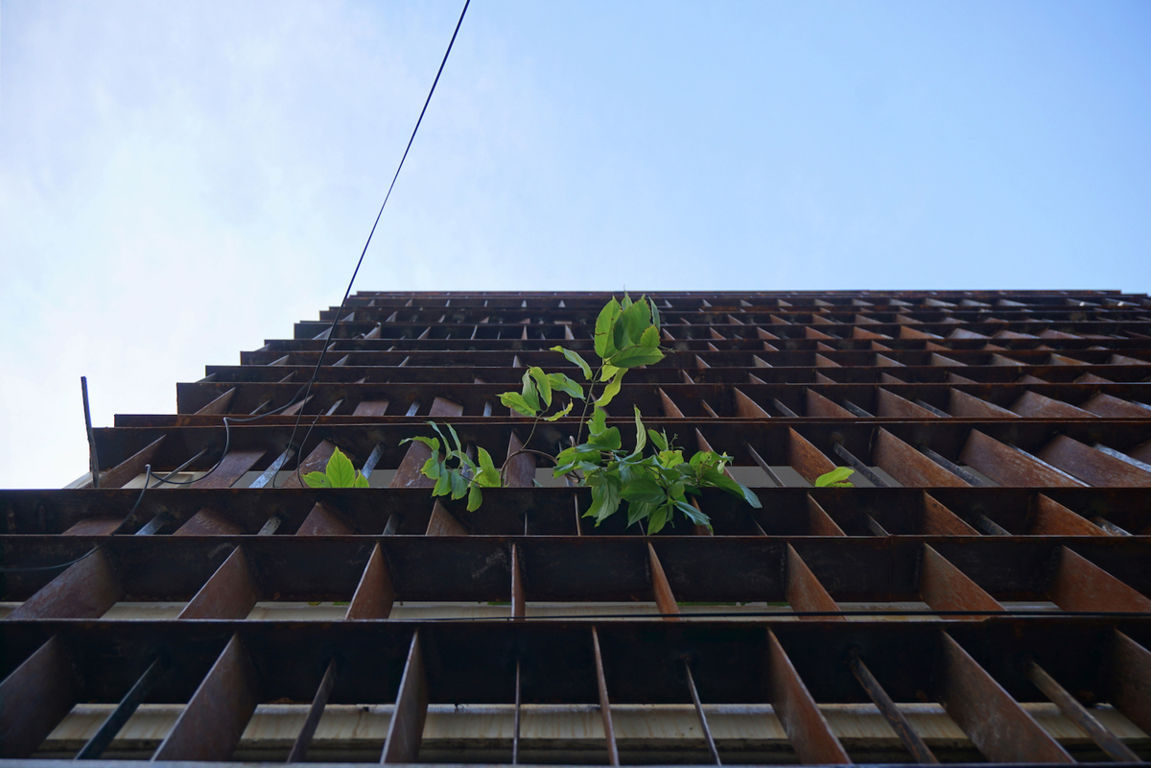 Ngôi nhà bên ngoài gỉ sắt, bên trong sáng bừng