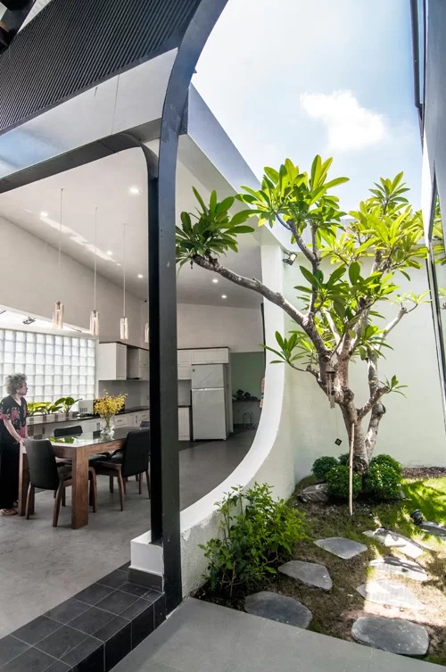 Ngôi nhà trong hẻm Sài Gòn với vườn xanh mát
