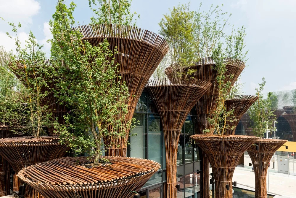 Nhà Việt Nam trồng cây xanh trên mái ở Italy