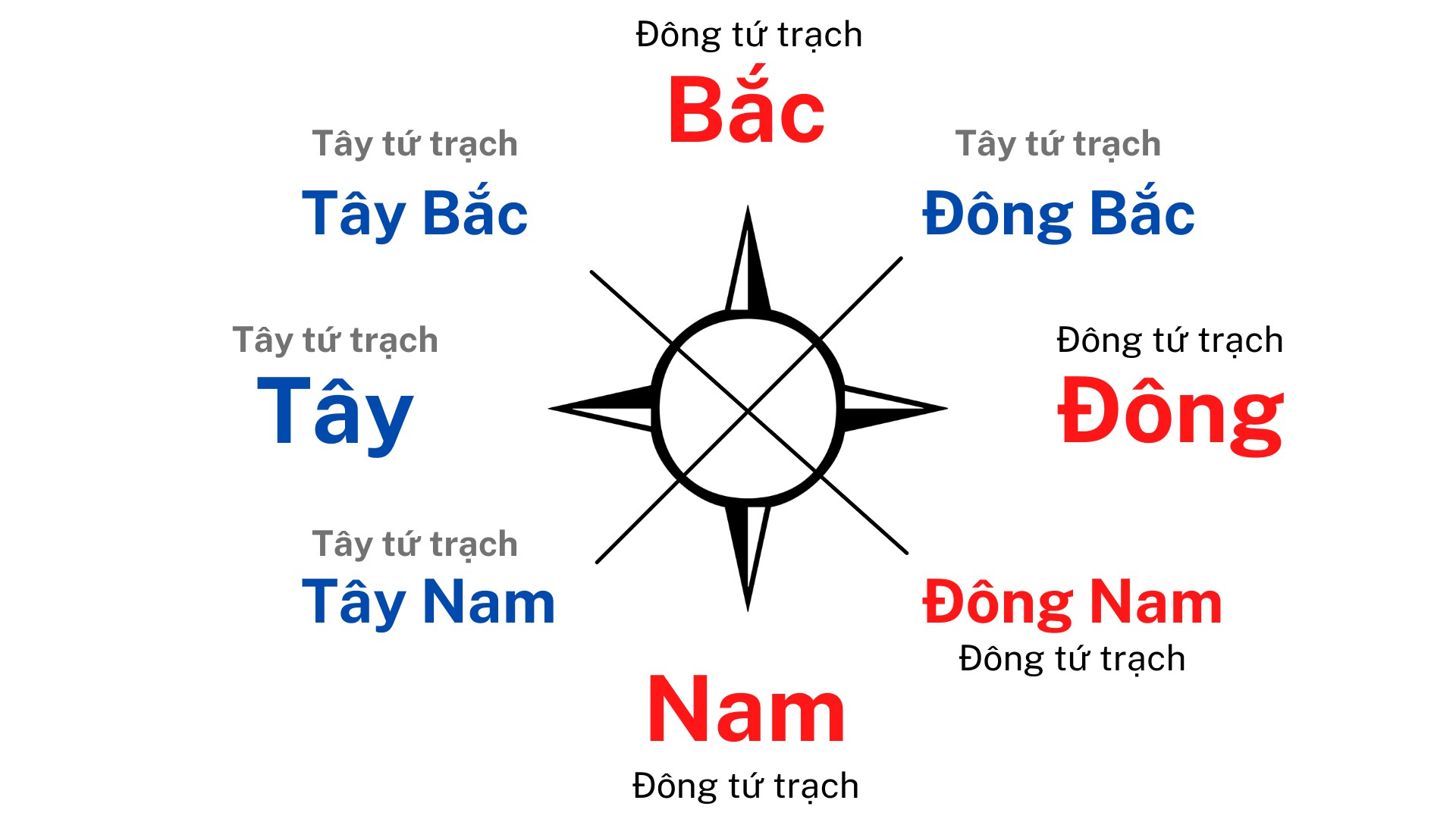 dong-tu-trach-la-gi-gom-nhung-huong-nao-bat-trach