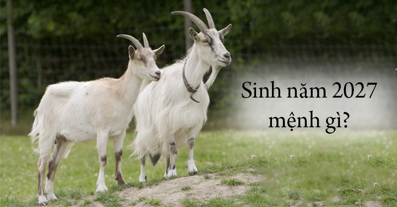 tuoi-xay-nha-2027-dinh-mui-danh-sach-tuoi-dep-tuoi-xau-thang-tot-va-huong-dan-muon-tuoi-day-du-n1509%20(7)
