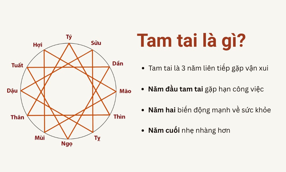 tuoi-xay-nha-2028-ky-dau-tra-cuu-tuoi-dep-4-dai-han
